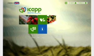 Icapp.com.eg thumbnail