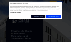 Icbms.fr thumbnail