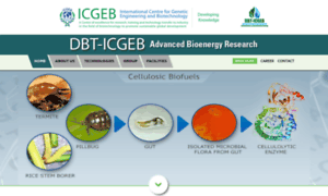 Icgeb-bioenergy.org thumbnail