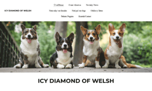 Icy-diamond-of-welsh.weebly.com thumbnail