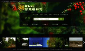 Iflora.cn thumbnail