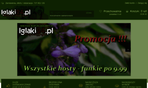 Iglaki24.pl thumbnail
