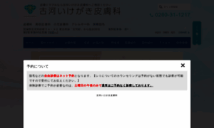 Ikegaki-hifuka.com thumbnail