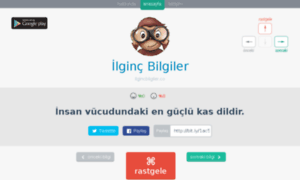 Ilgincbilgiler.co thumbnail