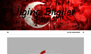 Ilgincbilgiler.info thumbnail