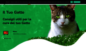 Iltuogatto.it thumbnail