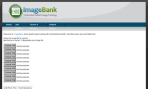 Imagebank.pw thumbnail