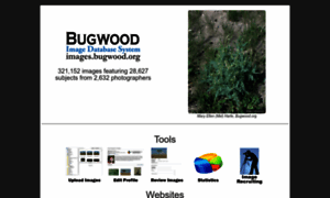 Images.bugwood.org thumbnail