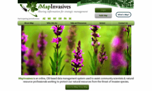 Imapinvasives.org thumbnail
