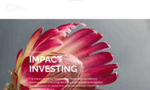 Impactinvestingsouthafrica.co.za thumbnail