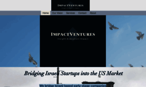 Impactventures.biz thumbnail