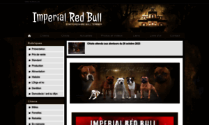 Imperialredbull.chiens-de-france.com thumbnail