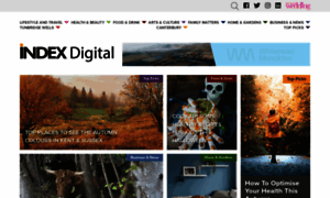 Indexdigital.co.uk thumbnail