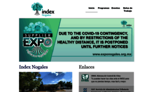 Indexnogales.org.mx thumbnail