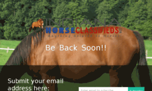 Indianahorseclassifieds.com thumbnail