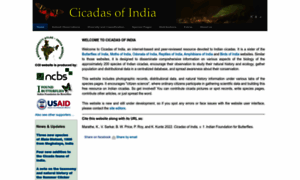 Indiancicadas.org thumbnail