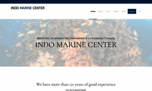 Indomarinecenter.com thumbnail