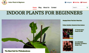 Indoorplantsforbeginners.com thumbnail