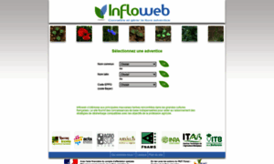 Infloweb.fr thumbnail