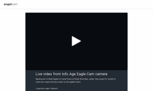 Info-age-eagle-cam.click2stream.com thumbnail