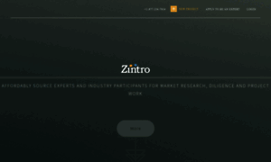 Info.zintro.com thumbnail