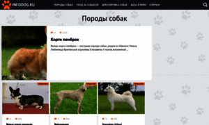 Infodog.ru thumbnail