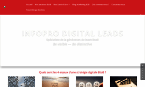 Infopro-digital-leads.com thumbnail