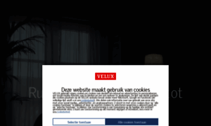 Informatie.velux.nl thumbnail