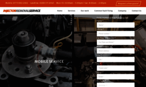 Injector-removal-service.co.uk thumbnail