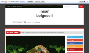 Insanbelgeseli.com thumbnail