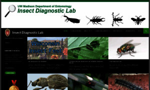 Insectlab.russell.wisc.edu thumbnail