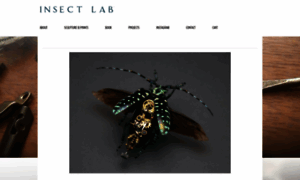 Insectlabstudio.com thumbnail