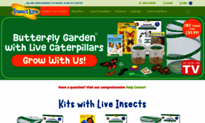 Insectlore.com thumbnail