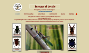 Insectosaldetalle.com thumbnail