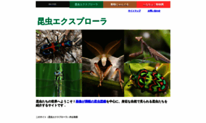 Insects.jp thumbnail