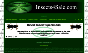 Insects4sale.americommerce.com thumbnail