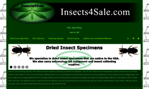 Insects4sale.com thumbnail