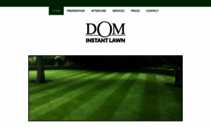 Instantlawn.co.nz thumbnail