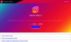Instapro2.net thumbnail