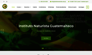 Institutonaturista.com.gt thumbnail