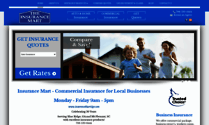 Insuranceblueridge.com thumbnail