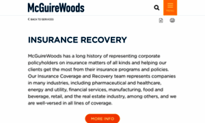 Insurancerecoveryblog.com thumbnail