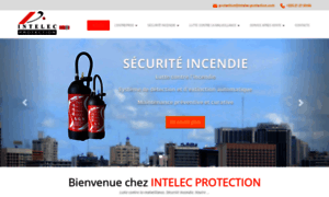 Intelec-protection.com thumbnail