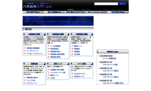 Internalcontrol-navi.com thumbnail