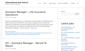 International-job-search.com thumbnail