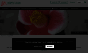 Internationalcamellia.org thumbnail