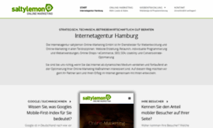 Internetagenturhamburg.com thumbnail