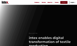 Intex-consulting.com thumbnail