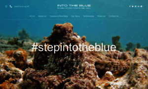 Intothebluediving.com thumbnail