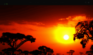 Intowildafrica.com thumbnail
